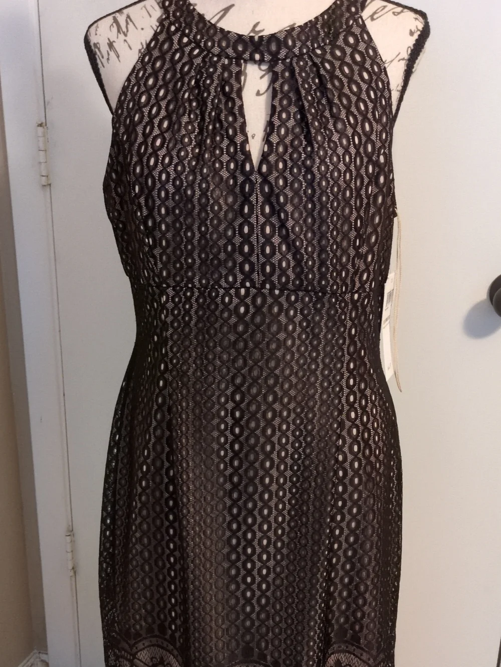 Maggy London Black Lace Halter Midi Dress 12
